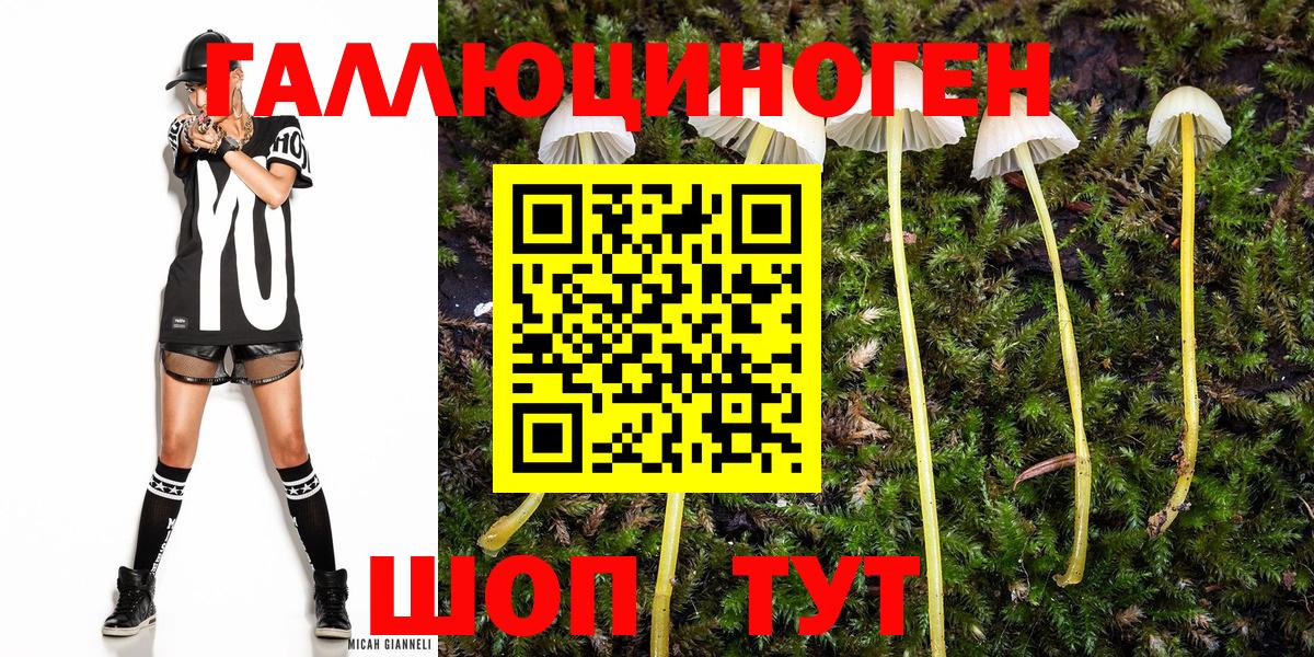 Псилоцибиновые грибы прущие грибы  продажа наркотиков  Ногинск  Вход с VPN  Галлюциногенные грибы Cubensis 
