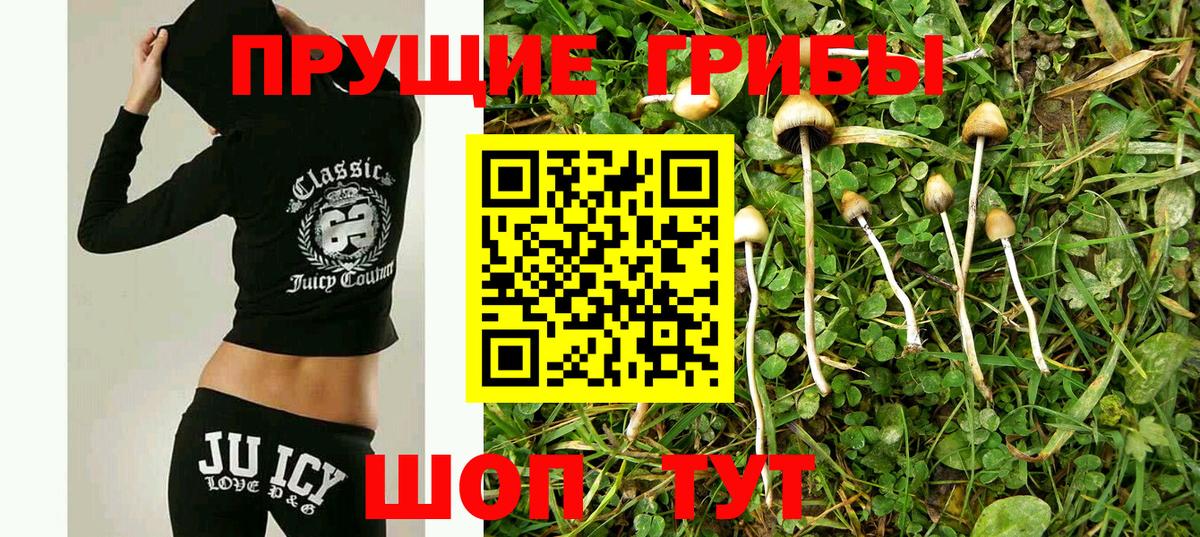 Галлюциногенные грибы прущие грибы Ногинск